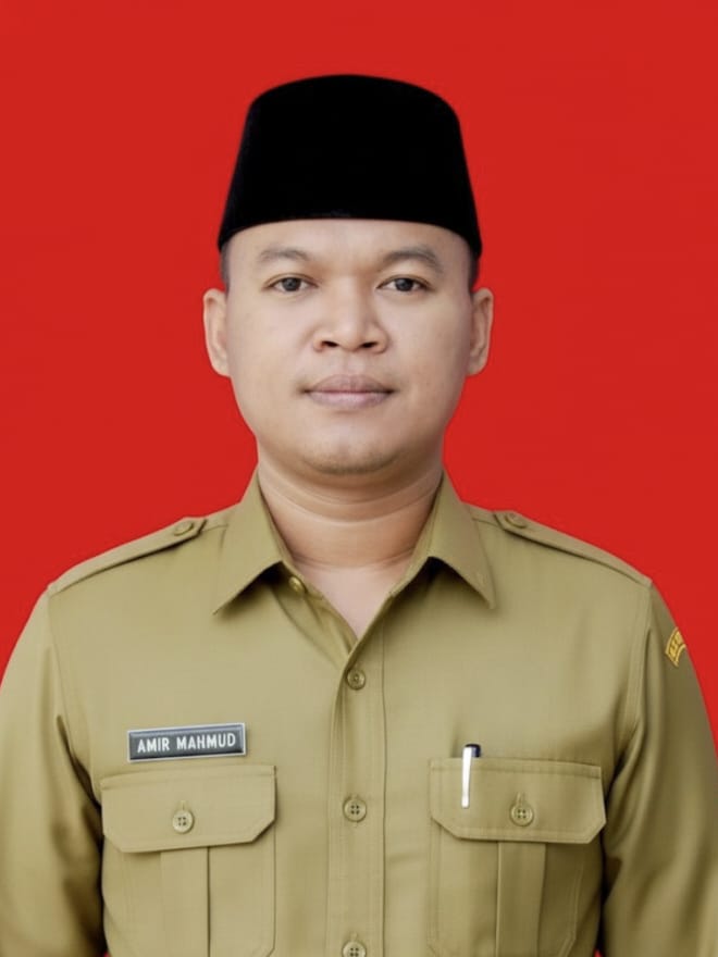 Amir Mahmud